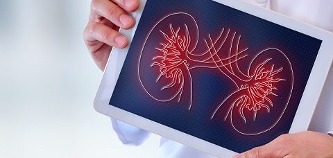 Analysis Calliditas: Great value can be released