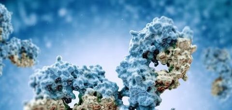 Analysis, Cantargia: Promising signals