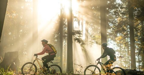 Carlsquare advises Jofrab TWS on the sale to Storskogen