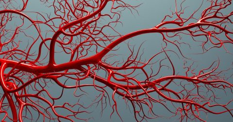 Analysis, Annexin: Reduced visibility