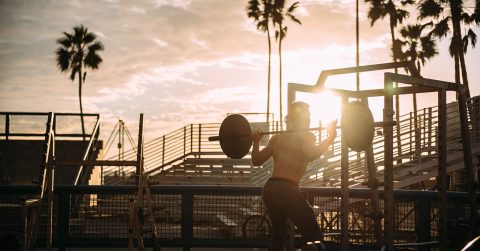 Carlsquare advised the leading fitness brand Bodylab on its sale to Vitafy