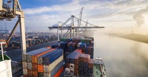 Analysis Consilium: Improved outlook for 2019