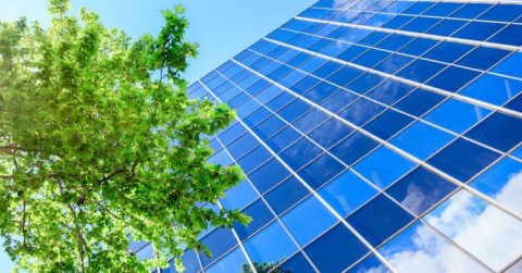 Analysis Ecoclime: International marketing effort