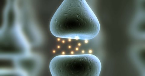 Analysis Saniona: Increased clinical activity