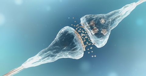 Analysis, Combigene: Improved financial position