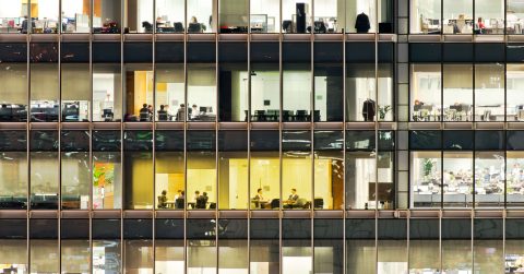 Analysis, Coor: Stellar growth in second quarter