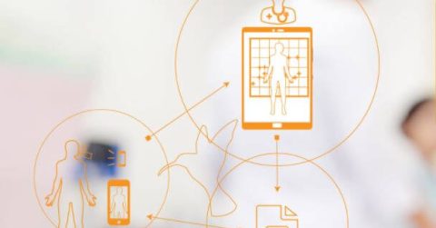 Analysis, Kontigo Care: Growing client base