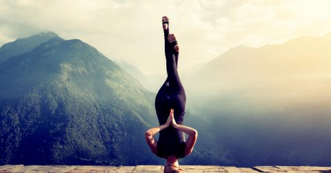 Carlsquare advised Feelgood Shop on the sale to Finexx