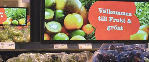 Analys, ZetaDisplay: God avkastning på förvärv