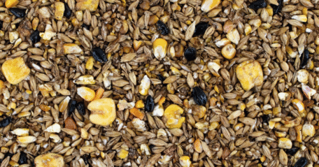 Carlsquare hat KKA Partners und sein Portfoliounternehmen Mühldorfer Nutrition Holding bei der Akquisition der Vilstalmühle-Balk im Rahmen ihrer Buy-and-Build-Strategie beraten