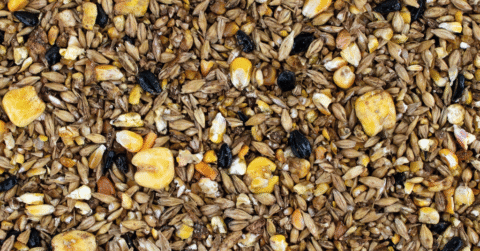 Carlsquare advised KKA Partners and its portfolio company Mühldorfer Nutrition Holding on the add-on acquisition of Vilstalmühle-Balk as part of their buy-and-build strategy