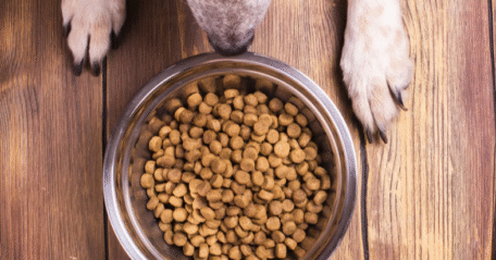 Carlsquare hat KKA Partners und sein Portfoliounternehmen Mühldorfer Nutrition Holding bei der Übernahme einer Mehrheitsbeteiligung an der Dr. Clauder Group of Companies beraten