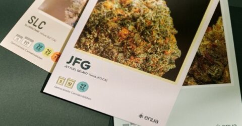 Carlsquare acted as the exclusive debt advisor of enua Pharma on the structuring of a growth financing package