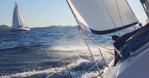 AI as a Tailwind: Which SaaS Subsectors Are Built to Win?